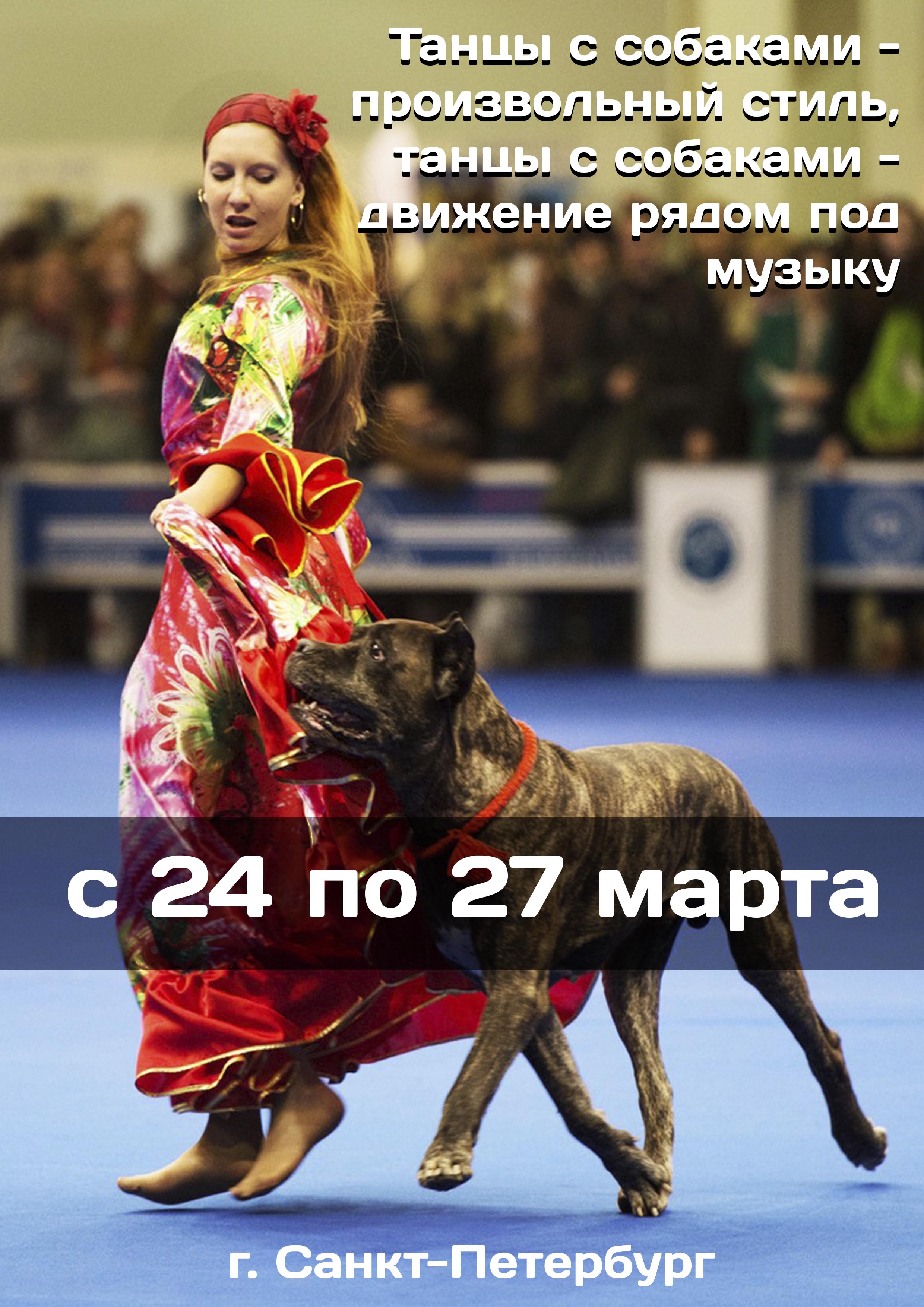 Танцы с собаками - произвольный стиль, танцы с собаками - движение рядом под музыку 24 марта 2023 года 